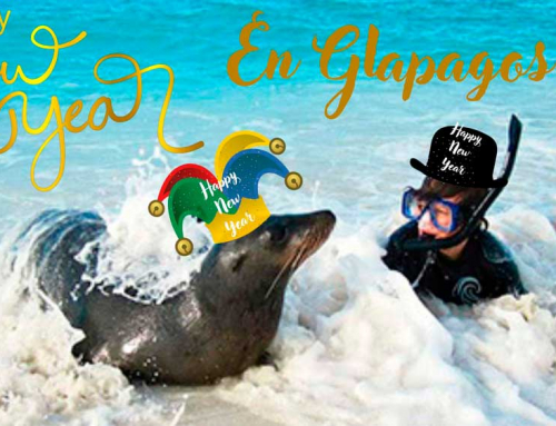 Tours a Galápagos Fin de Año | Bahia